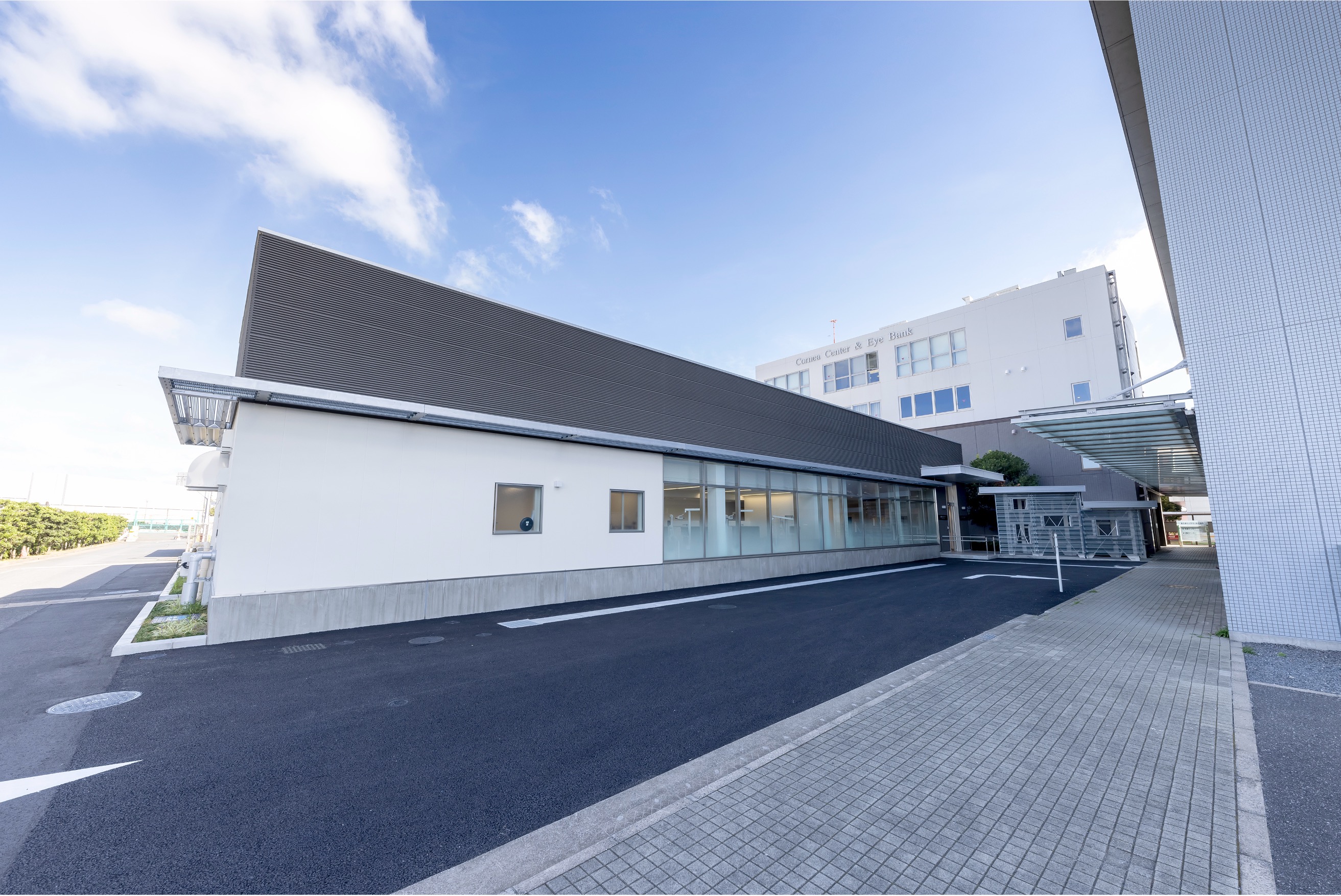 公の場での発言・インタビュー報道記録
