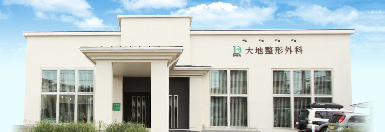 医療法人至誠堂 大地整形外科