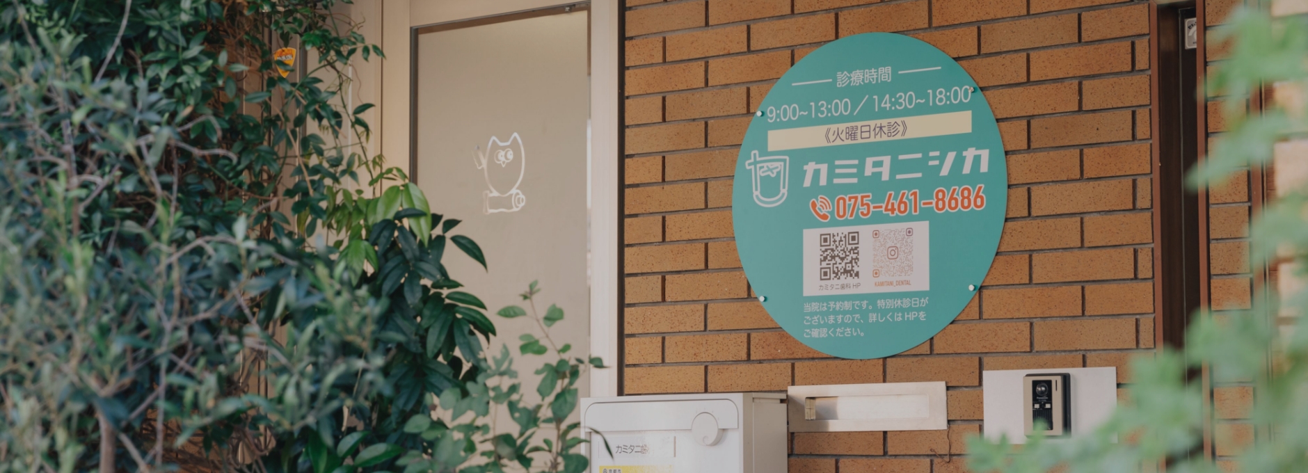 カミタニ歯科