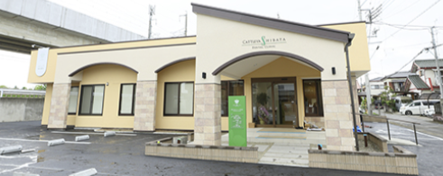 医療法人聖心会 カトレア柴田歯科